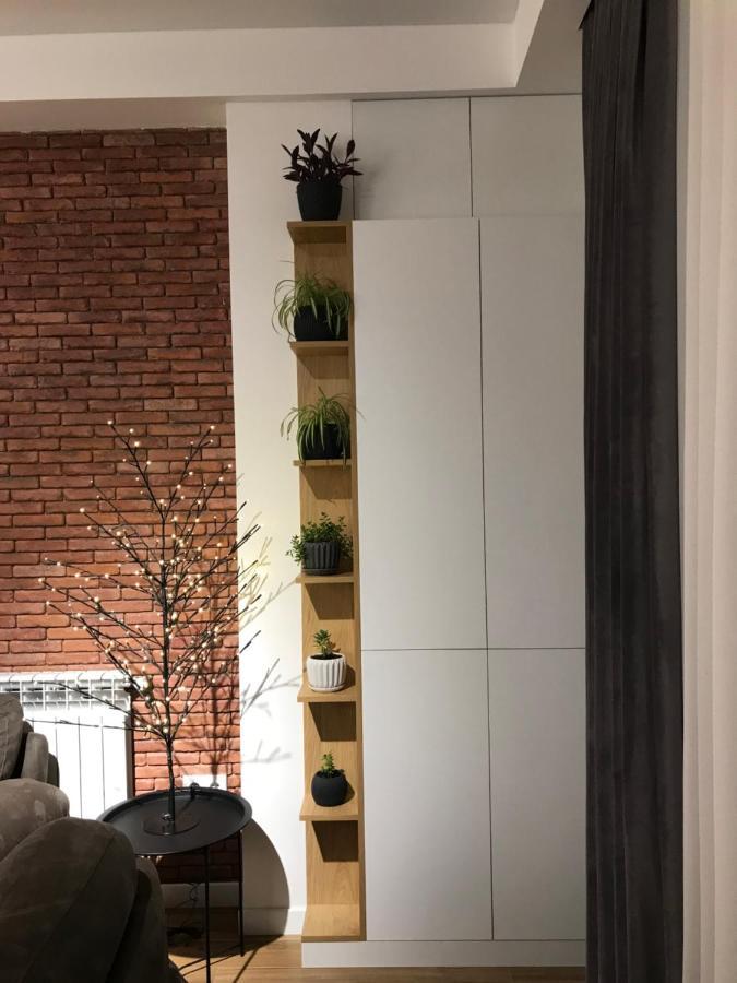 A New Apartment In The King District Kutaisi Luaran gambar